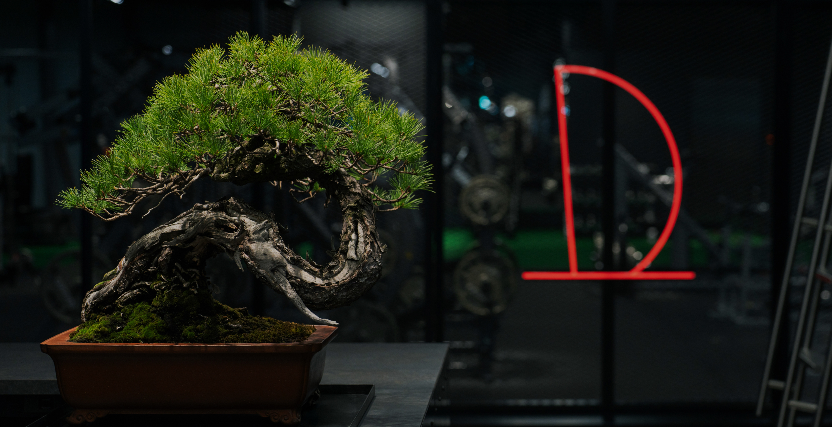 Azabudai Gymの様子2